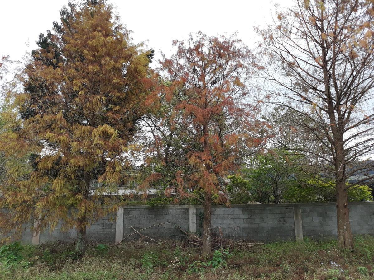 63Inn庭園民宿 Pinghe Εξωτερικό φωτογραφία